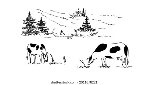 Rural landscape with a chalets, a field, a cows.