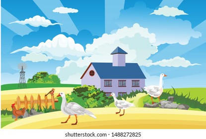 Rural landscape, chicken and goose on the green hill , cottage house, countryside, vector illustration