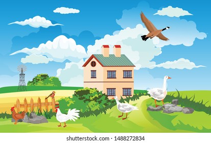 Rural landscape, chicken and goose on the green hill , cottage house, countryside, vector illustration