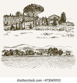 Rural landscape with country house and vineyard.