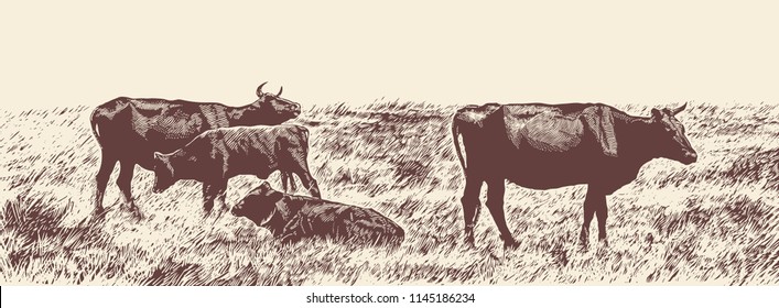 Paisaje rural con vacas. Estilo de grabado de ilustración de vectores dibujados a mano.