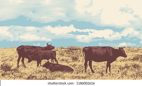 Rural Landscape With Cows. Hand Drawn Vector Illustration Engraving Style. aspect ratio 16:9