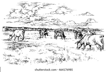 Rural landscape with cows - hand drawn vector illustration, isolated on white