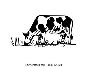 Rural landscape with a dairy cow grazing in the meadow. Cattle eat grass, udders full of milk. Vector sketch in cartoon style for icons, logos, prints. Isolated illustration on white background