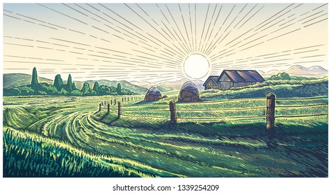 Rural landscape with dawn in village in engraving style painted in color.