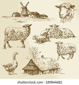 rural landscape, farm animal - hand drawn illustration