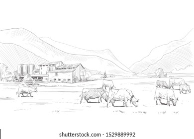 Rural landscape. Farm sketch. Vector illustration. Hand drawn image.