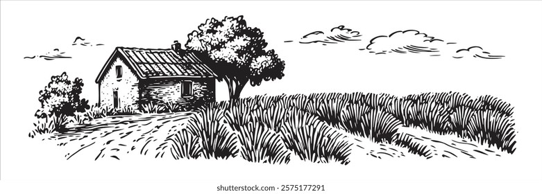 rural landscape with farmhouse and fields in monochrome hand-drawn style