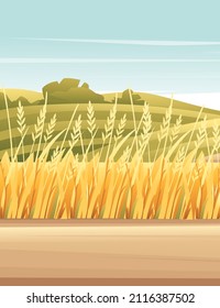 Rural landscape farmland grains field sunny day vector countryside illustration