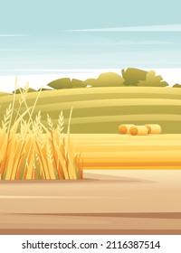 Paisaje rural granjas de heno y campos de grano soleado día vectorial ilustración del campo