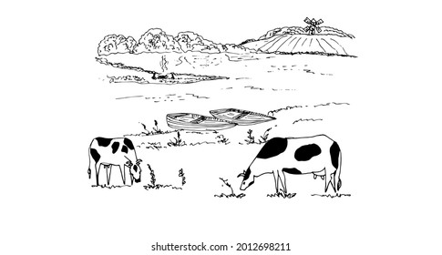 Rural landscape with  a field, a cows.