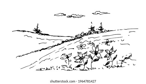 Paisaje rural con campo y árboles. Dibujo lineal, boceto. Ilustración vectorial de la naturaleza.