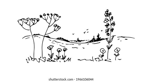 Rural landscape with field and trees. Linear drawing, sketch. Vector illustration of nature.