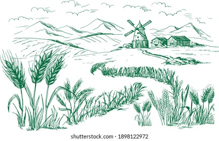 Rural landscape field wheat, Bullock, Tractor, Cow, wind power, house, trees, plant, fences, Tuscany Landscape, old Barn, Hand drawn vintage vector Illustration