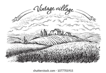 Rural landscape field wheat in graphical style. Hand drawn and converted to vector Illustration.