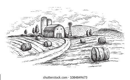 Rural landscape field wheat in graphical style. Hand drawn and converted to vector Illustration.