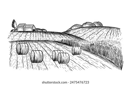 Rural landscape field wheat in graphical style. Hand drawn and converted to vector Illustration.