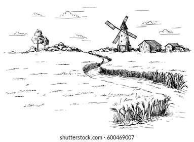 Rural landscape field wheat in graphical style. Hand drawn and converted to vector Illustration.