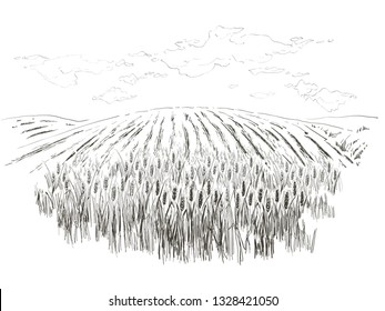 Rural landscape field wheat Hand drawn vector Countryside engraving