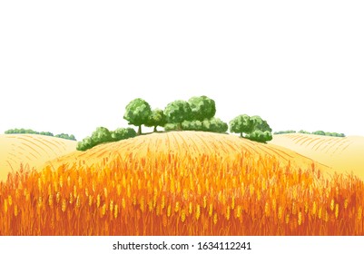 Rural landscape a field of wheat on summer hills and dales in the background. A trees, plants, forest panorama. Hand drawn vector watercolor illustration.