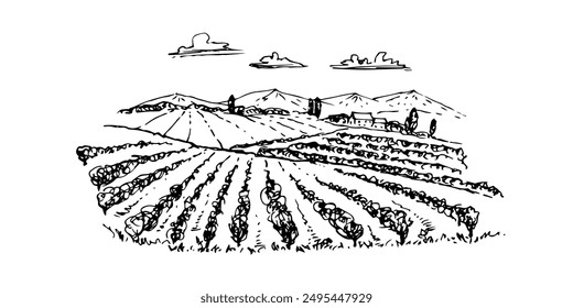 Rural landscape with fields, vineyards.