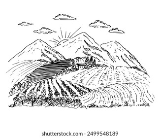 Rural landscape with fields, vineyards.