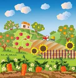 Rural Landscape. Fruit Garden, Carrot, Fence With Sunflower. Red Tractor, Village House. Vector Illustration. 