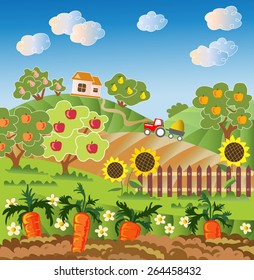 Rural landscape. Fruit garden, carrot, fence with sunflower. Red tractor, village house. Vector illustration. 