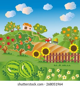 Rural landscape. Fruit garden, watermelon field, fence with sunflower. Red tractor, village house. Vector illustration. Pear tree, apple tree. 