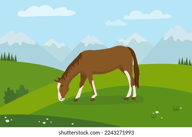 Rural landscape with grazing horse horse with green meadows  in background. Background with mountains and blue sky in the background. Flat design.