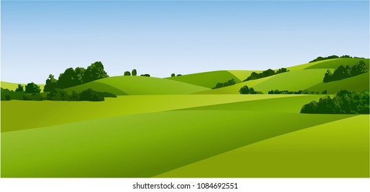 Rural landscape with green field