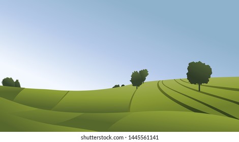 Rural landscape with green fields