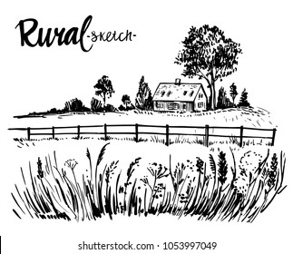 Rural landscape. Hand drawn illustration converted to vector