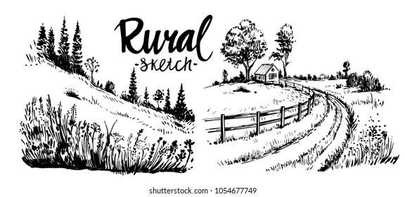 Rural landscape. Hand drawn illustration converted to vector