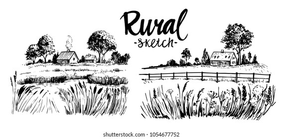 Rural landscape. Hand drawn illustration converted to vector