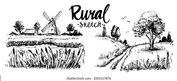 Rural landscape. Hand drawn illustration converted to vector