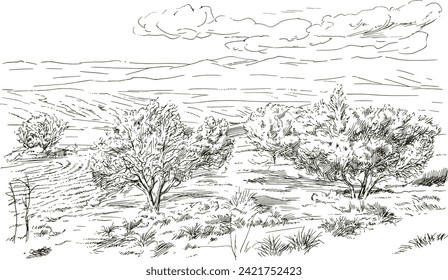 Rural landscape, hand drawn illustration