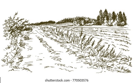 Rural landscape. Hand drawn illustration.