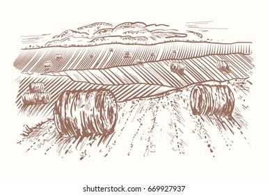 Rural landscape hand drawn. Rolls of hay on meadows. Village sketch and nature retro engraving style vector
