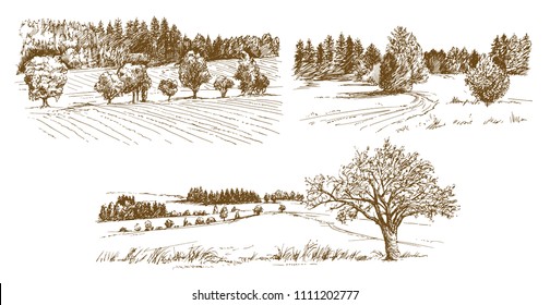 Rural landscape. Hand drawn set.