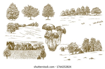 Rural landscape. Hand drawn set.