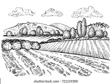 Rural landscape, handdrawn inked sketch style illustration. Hand draw illustration of outdoor natural scenic. Agricultural farm and field. Vector monochrome outline image