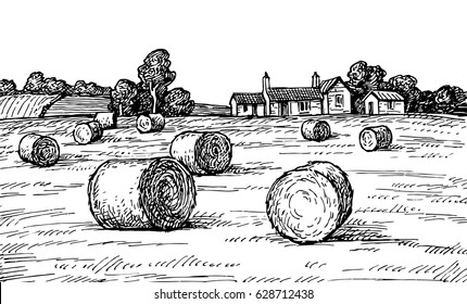 Rural landscape with hay bales. Wheat field and farm. Countryside scenery. Retro style.