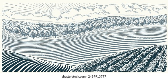 Rural landscape with hills, agriculture field and gardens, illustration hand-drawn in the graphic style. Vector landscape.