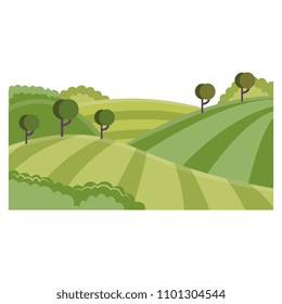 Rural landscape with hills and fields - summer green farmlands with rows of agricultural plants and trees. Flat cartoon vector illustration of countryside skyline.
