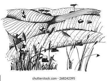 rural landscape ink pen picture - vector