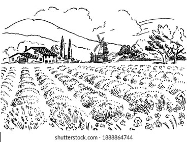 Rural landscape with  lavender  field.  Vector hand drawn vintage engraved sketch.