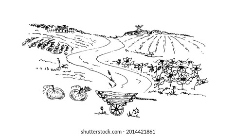 Rural landscape with a mill. Vector line drawing. Sketch.