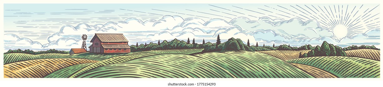 Rural landscape, panoramic format with a farm with and agricultural fields around.