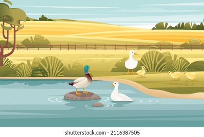 Rural landscape with pond and duck animal sunny day agriculture farm field vector countryside background illustration